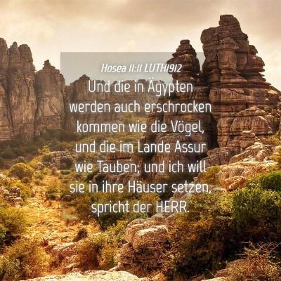Picture 04 - Hosea 11:11 LUTH1912 - Und die in Ägypten werden auch erschrocken - Bible Verse Picture