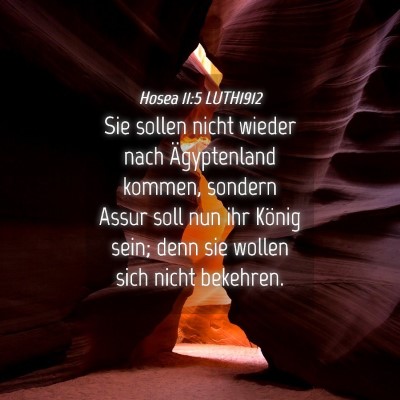 Picture 04 - Hosea 11:5 LUTH1912 - Sie sollen nicht wieder nach Ägyptenland kommen, - Bible Verse Picture