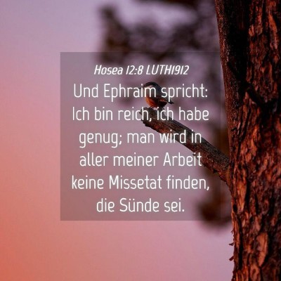 Picture 04 - Hosea 12:8 LUTH1912 - Und Ephraim spricht: Ich bin reich, ich habe - Bible Verse Picture