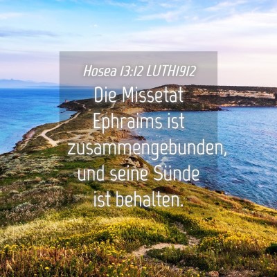 Picture 04 - Hosea 13:12 LUTH1912 - Die Missetat Ephraims ist zusammengebunden, und - Bible Verse Picture