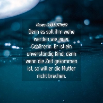 Picture 04 - Hosea 13:13 LUTH1912 - Denn es soll ihm wehe werden wie einer - Bible Verse Picture