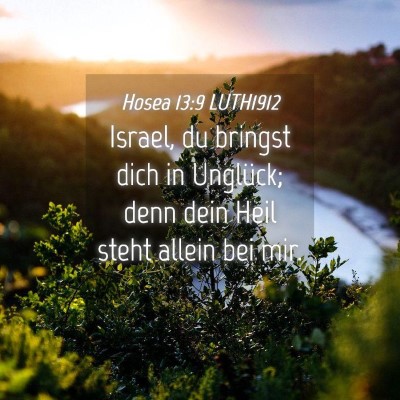 Picture 04 - Hosea 13:9 LUTH1912 - Israel, du bringst dich in Unglück; denn dein - Bible Verse Picture