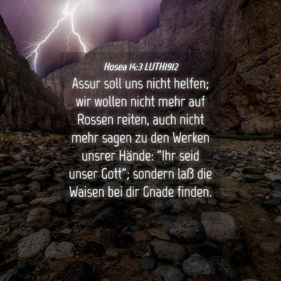 Picture 04 - Hosea 14:3 LUTH1912 - Assur soll uns nicht helfen; wir wollen nicht - Bible Verse Picture