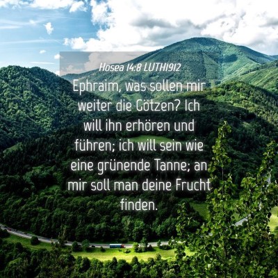 Picture 04 - Hosea 14:8 LUTH1912 - Ephraim, was sollen mir weiter die Götzen? Ich - Bible Verse Picture
