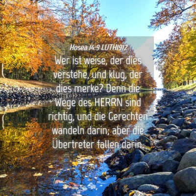 Picture 04 - Hosea 14:9 LUTH1912 - Wer ist weise, der dies verstehe, und klug, der - Bible Verse Picture