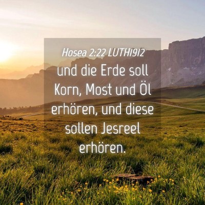 Picture 04 - Hosea 2:22 LUTH1912 - und die Erde soll Korn, Most und Öl erhören, - Bible Verse Picture