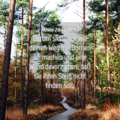 Picture 04 - Hosea 2:6 LUTH1912 - Darum siehe, ich will deinen Weg mit Dornen - Bible Verse Picture