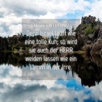 Picture 04 - Hosea 4:16 LUTH1912 - Denn Israel läuft wie eine tolle Kuh; so wird - Bible Verse Picture