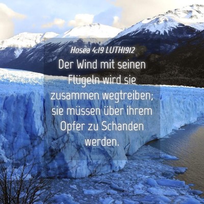 Picture 04 - Hosea 4:19 LUTH1912 - Der Wind mit seinen Flügeln wird sie zusammen - Bible Verse Picture