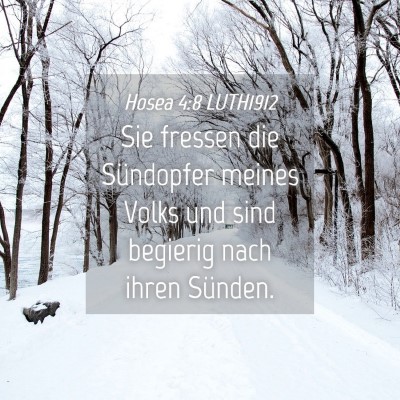 Picture 04 - Hosea 4:8 LUTH1912 - Sie fressen die Sündopfer meines Volks und sind - Bible Verse Picture