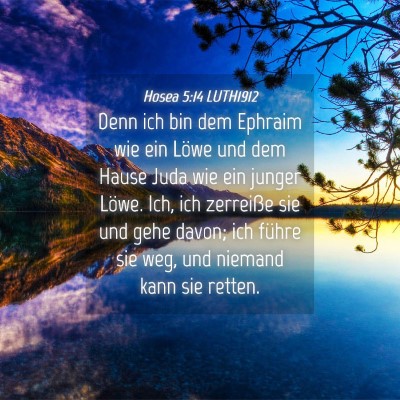 Picture 04 - Hosea 5:14 LUTH1912 - Denn ich bin dem Ephraim wie ein Löwe und dem - Bible Verse Picture