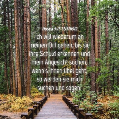 Picture 04 - Hosea 5:15 LUTH1912 - Ich will wiederum an meinen Ort gehen, bis sie - Bible Verse Picture