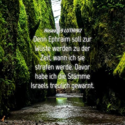 Picture 04 - Hosea 5:9 LUTH1912 - Denn Ephraim soll zur Wüste werden zu der Zeit, - Bible Verse Picture