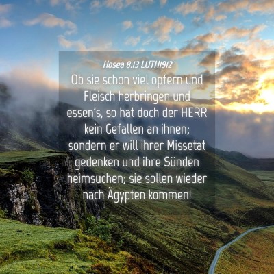 Picture 04 - Hosea 8:13 LUTH1912 - Ob sie schon viel opfern und Fleisch herbringen - Bible Verse Picture
