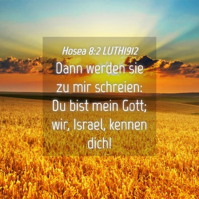 Picture 04 - Hosea 8:2 LUTH1912 - Dann werden sie zu mir schreien: Du bist mein - Bible Verse Picture