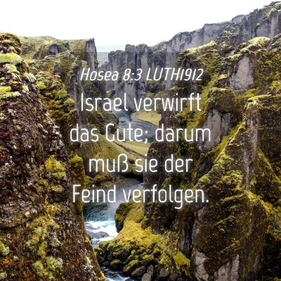 Picture 04 - Hosea 8:3 LUTH1912 - Israel verwirft das Gute; darum muß sie der - Bible Verse Picture