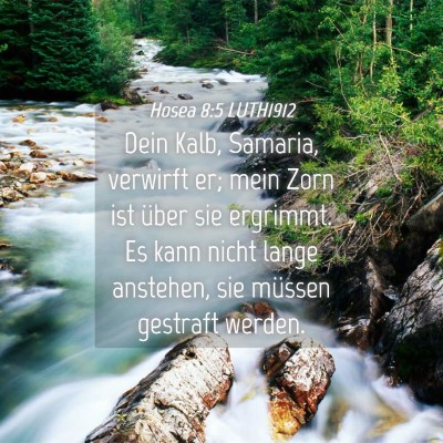 Picture 04 - Hosea 8:5 LUTH1912 - Dein Kalb, Samaria, verwirft er; mein Zorn ist - Bible Verse Picture