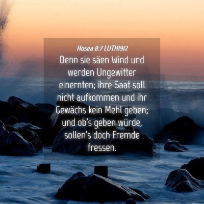 Picture 04 - Hosea 8:7 LUTH1912 - Denn sie säen Wind und werden Ungewitter - Bible Verse Picture