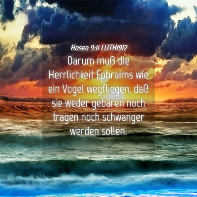 Picture 04 - Hosea 9:11 LUTH1912 - Darum muß die Herrlichkeit Ephraims wie ein - Bible Verse Picture