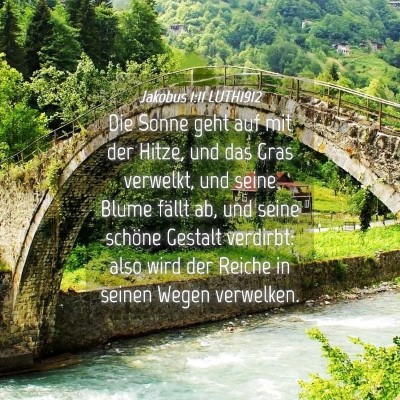 Picture 04 - Jakobus 1:11 LUTH1912 - Die Sonne geht auf mit der Hitze, und das Gras - Bible Verse Picture