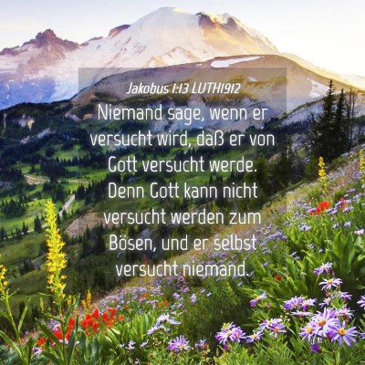 Picture 04 - Jakobus 1:13 LUTH1912 - Niemand sage, wenn er versucht wird, daß er von - Bible Verse Picture