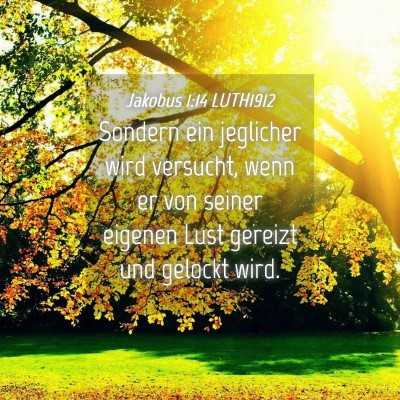 Picture 04 - Jakobus 1:14 LUTH1912 - Sondern ein jeglicher wird versucht, wenn er von - Bible Verse Picture