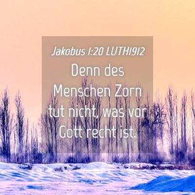 Picture 04 - Jakobus 1:20 LUTH1912 - Denn des Menschen Zorn tut nicht, was vor Gott - Bible Verse Picture