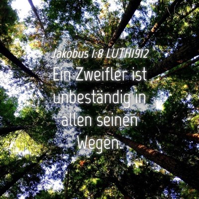 Picture 04 - Jakobus 1:8 LUTH1912 - Ein Zweifler ist unbeständig in allen seinen - Bible Verse Picture