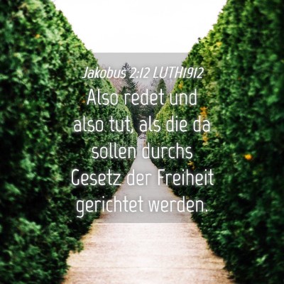 Picture 04 - Jakobus 2:12 LUTH1912 - Also redet und also tut, als die da sollen durchs - Bible Verse Picture