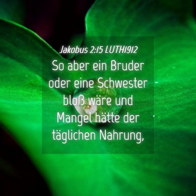 Picture 04 - Jakobus 2:15 LUTH1912 - So aber ein Bruder oder eine Schwester bloß - Bible Verse Picture