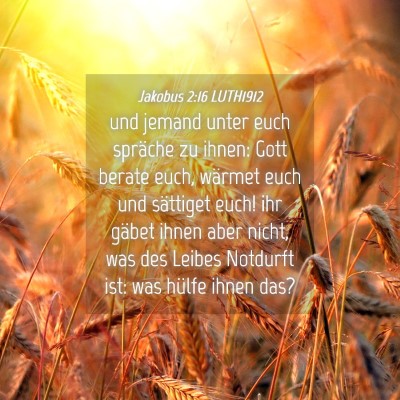 Picture 04 - Jakobus 2:16 LUTH1912 - und jemand unter euch spräche zu ihnen: Gott - Bible Verse Picture