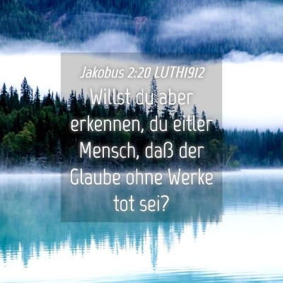 Picture 04 - Jakobus 2:20 LUTH1912 - Willst du aber erkennen, du eitler Mensch, daß - Bible Verse Picture