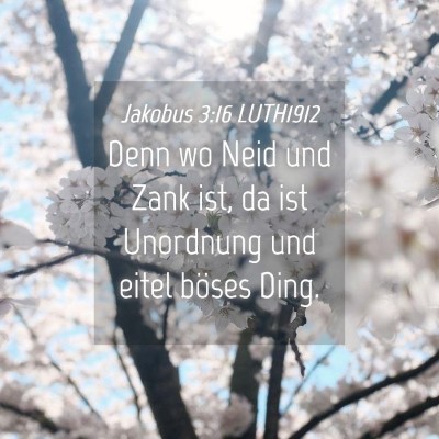 Picture 04 - Jakobus 3:16 LUTH1912 - Denn wo Neid und Zank ist, da ist Unordnung und - Bible Verse Picture