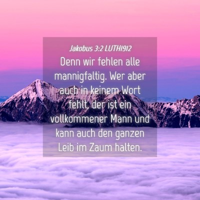 Picture 04 - Jakobus 3:2 LUTH1912 - Denn wir fehlen alle mannigfaltig. Wer aber auch - Bible Verse Picture
