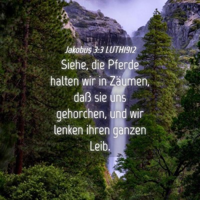 Picture 04 - Jakobus 3:3 LUTH1912 - Siehe, die Pferde halten wir in Zäumen, daß sie - Bible Verse Picture