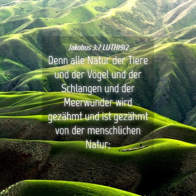 Picture 04 - Jakobus 3:7 LUTH1912 - Denn alle Natur der Tiere und der Vögel und der - Bible Verse Picture