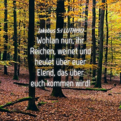 Picture 04 - Jakobus 5:1 LUTH1912 - Wohlan nun, ihr Reichen, weinet und heulet über - Bible Verse Picture