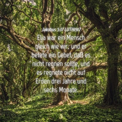 Picture 04 - Jakobus 5:17 LUTH1912 - Elia war ein Mensch gleich wie wir; und er betete - Bible Verse Picture
