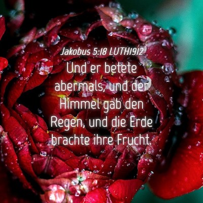 Picture 04 - Jakobus 5:18 LUTH1912 - Und er betete abermals, und der Himmel gab den - Bible Verse Picture