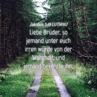 Picture 04 - Jakobus 5:19 LUTH1912 - Liebe Brüder, so jemand unter euch irren würde - Bible Verse Picture