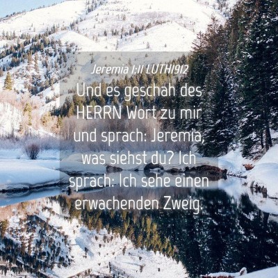 Picture 04 - Jeremia 1:11 LUTH1912 - Und es geschah des HERRN Wort zu mir und sprach: - Bible Verse Picture