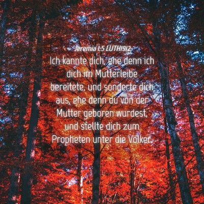 Picture 04 - Jeremia 1:5 LUTH1912 - Ich kannte dich, ehe denn ich dich im Mutterleibe - Bible Verse Picture