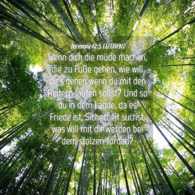 Picture 04 - Jeremia 12:5 LUTH1912 - Wenn dich die müde machen, die zu Fuße gehen, - Bible Verse Picture