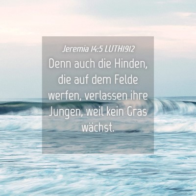 Picture 04 - Jeremia 14:5 LUTH1912 - Denn auch die Hinden, die auf dem Felde werfen, - Bible Verse Picture