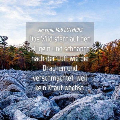 Picture 04 - Jeremia 14:6 LUTH1912 - Das Wild steht auf den Hügeln und schnappt nach - Bible Verse Picture