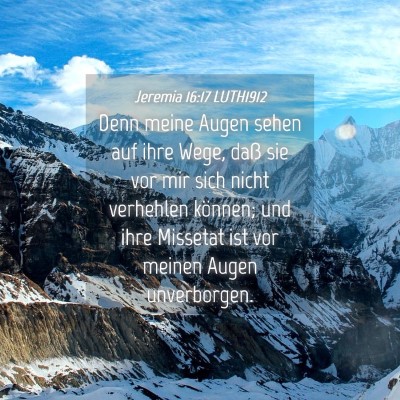 Picture 04 - Jeremia 16:17 LUTH1912 - Denn meine Augen sehen auf ihre Wege, daß sie - Bible Verse Picture