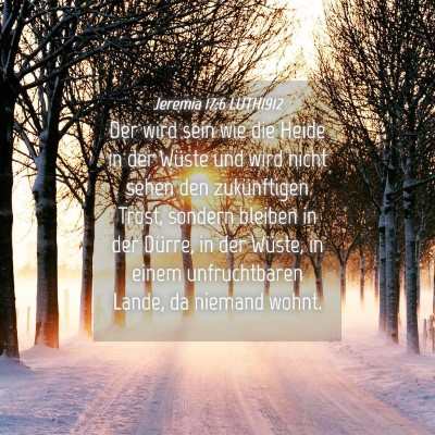 Picture 04 - Jeremia 17:6 LUTH1912 - Der wird sein wie die Heide in der Wüste und - Bible Verse Picture