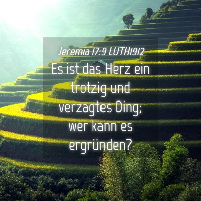 Picture 04 - Jeremia 17:9 LUTH1912 - Es ist das Herz ein trotzig und verzagtes Ding; - Bible Verse Picture