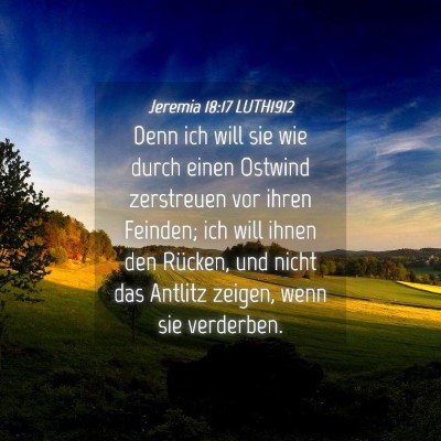 Picture 04 - Jeremia 18:17 LUTH1912 - Denn ich will sie wie durch einen Ostwind - Bible Verse Picture