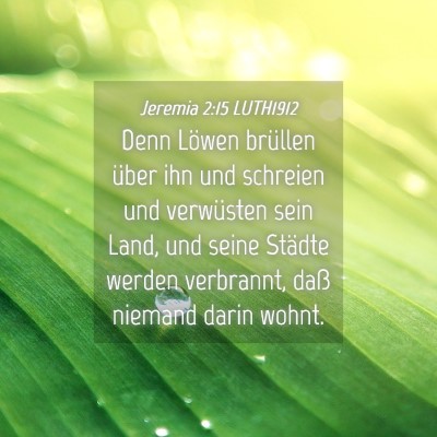 Picture 04 - Jeremia 2:15 LUTH1912 - Denn Löwen brüllen über ihn und schreien und - Bible Verse Picture